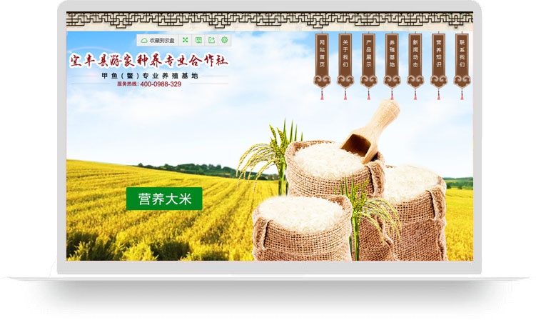 宜丰县游家种养专业合作社(定制网站A)